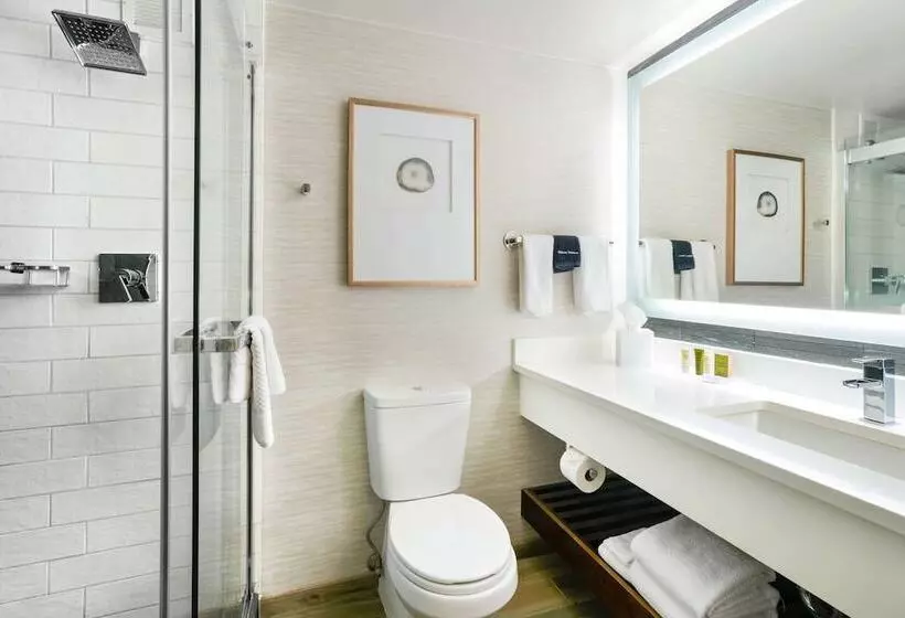 اتاق استاندارد با 2 تخت دوبل, Hilton Denver City Center