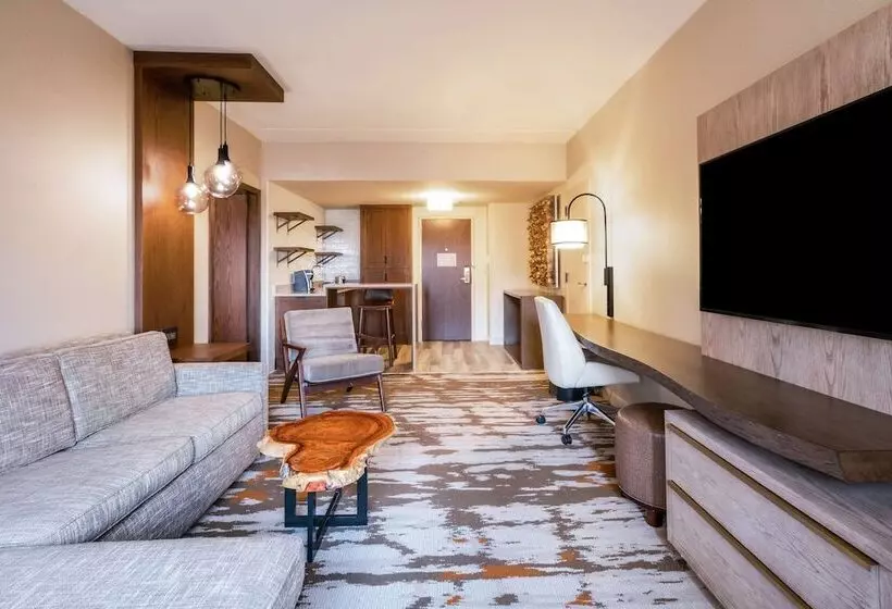 سوئیت با تخت بزرگ, Hilton Denver City Center