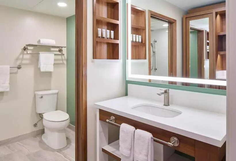 身障者適用スタンダードルーム, Outrigger Kāʻanapali Beach Resort
