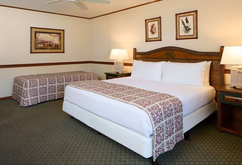 Номер Стандарт Адаптированный для Инвалидов, Outrigger Kāʻanapali Beach Resort