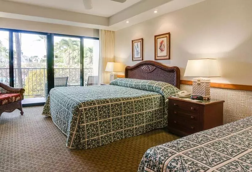 Standard Room King Size Bed