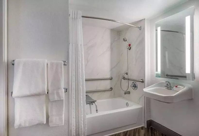 اتاق استاندارد با تخت بزرگ برای معلولان, La Quinta Inn By Wyndham Sacramento North