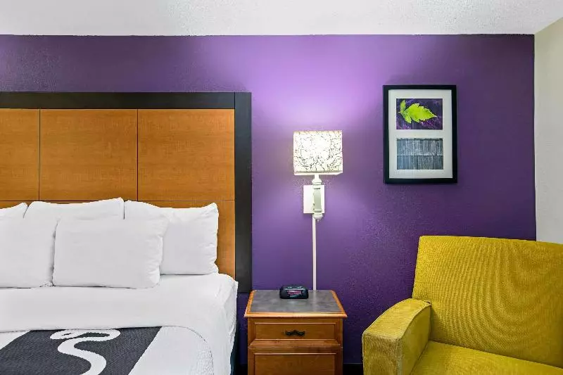 اتاق لوکس با تخت بزرگ, La Quinta Inn By Wyndham Sacramento North