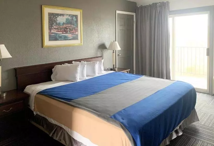キングサイズベッドのデラックスルーム, Lakeview Inn