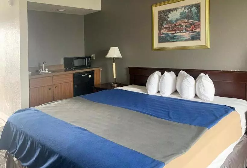 キングサイズベッドのデラックスルーム, Lakeview Inn