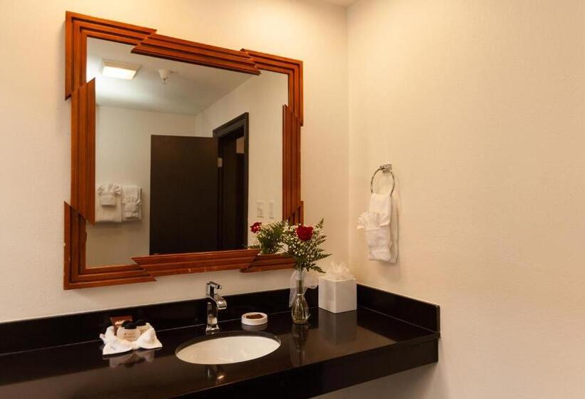 Standard Room King Size Bed