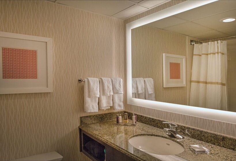 스탠다드 룸 더블 침대 2개, Marriott St. Louis Airport