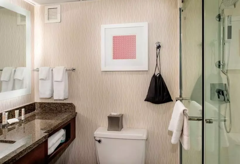اتاق اجرایی, Marriott St. Louis Airport
