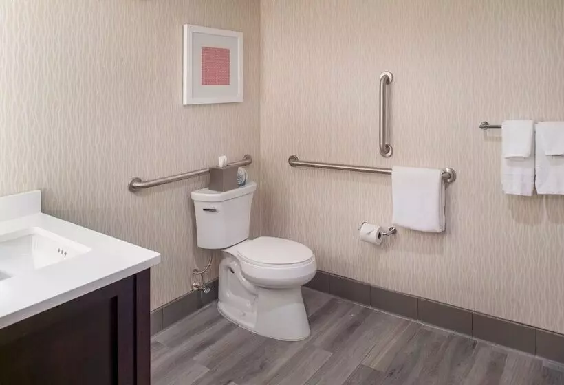 اتاق اجرایی, Marriott St. Louis Airport