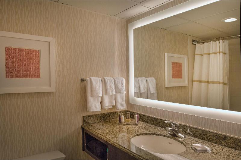 스탠다드 룸 킹사이즈 침대, Marriott St. Louis Airport