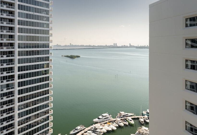 带2个双人床的标准工作室, Miami Marriott Biscayne Bay