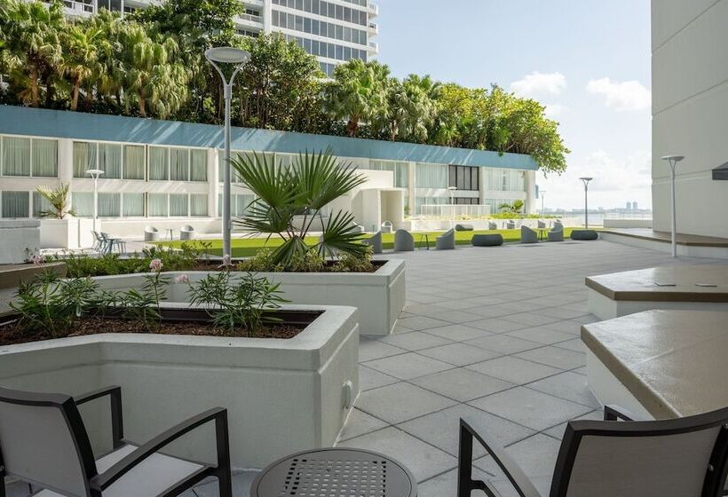 غرفه قياسيه سريرين مزدوجين, Miami Marriott Biscayne Bay