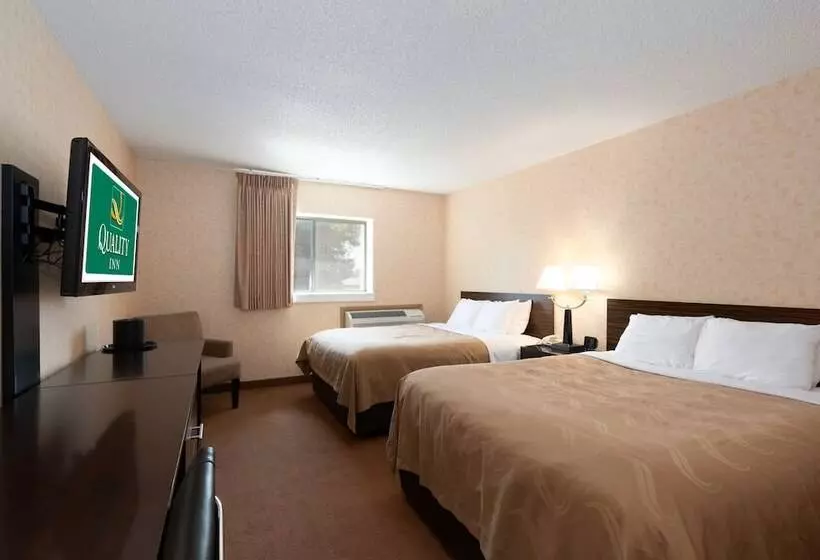 اتاق استاندارد با 2 تخت دوبل, Quality Inn Havre