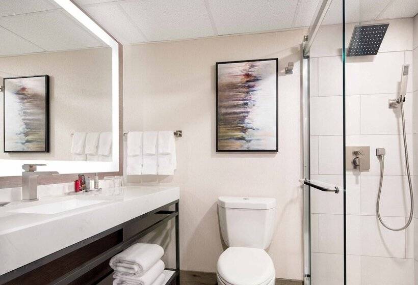 غرفة تنفيذية, Salt Lake Marriott Downtown At City Creek