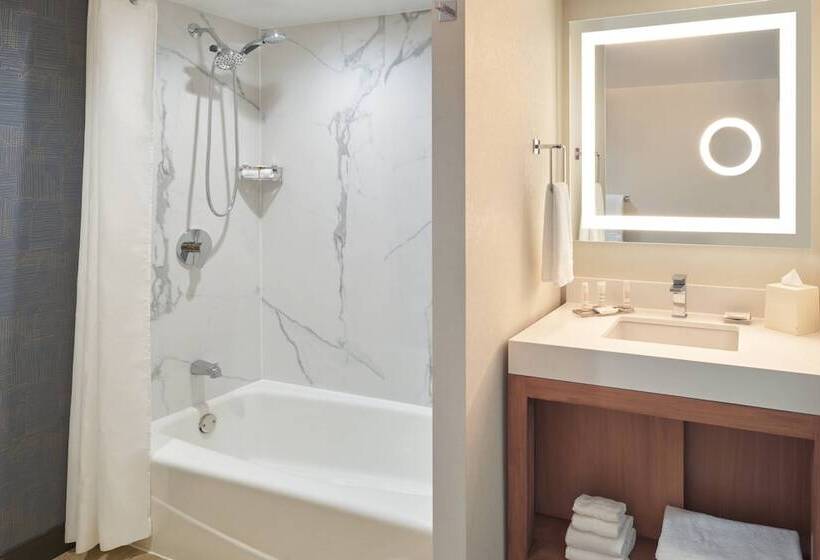 Номер Стандарт Двуспальная Кровать, San Diego Marriott Mission Valley