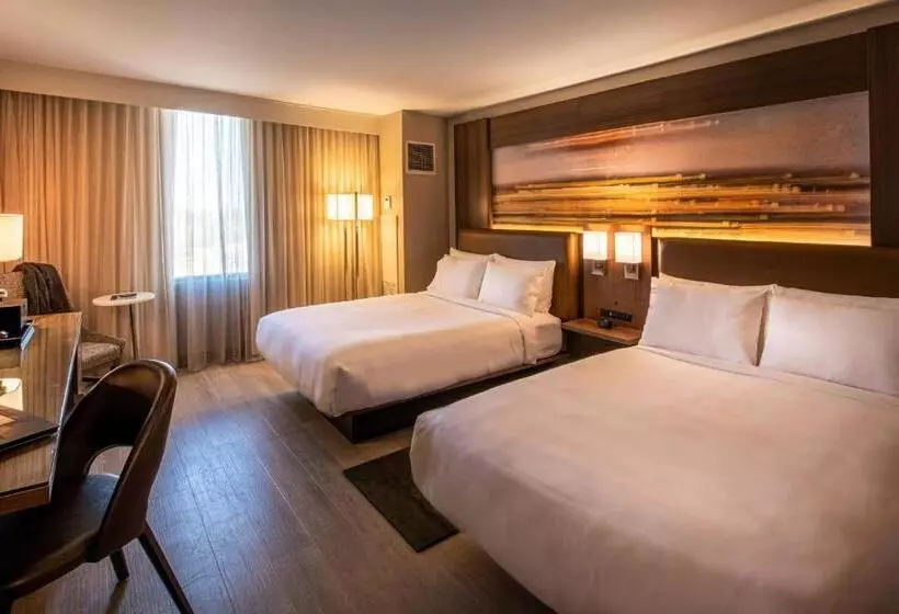 اتاق استاندارد با 2 تخت دوبل, Wichita Marriott