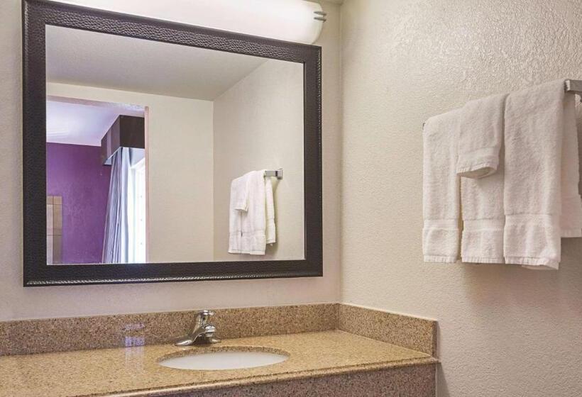 장애인을 위한 킹사이즈 침대 스탠다드 룸, Wingate By Wyndham Galveston East Beach