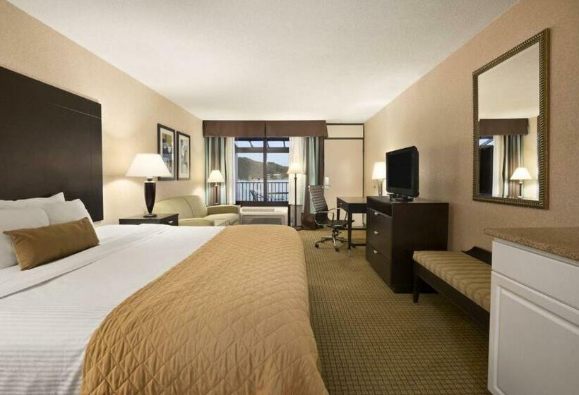 스탠다드 룸 킹사이즈 침대, Wyndham Garden Lake Guntersville