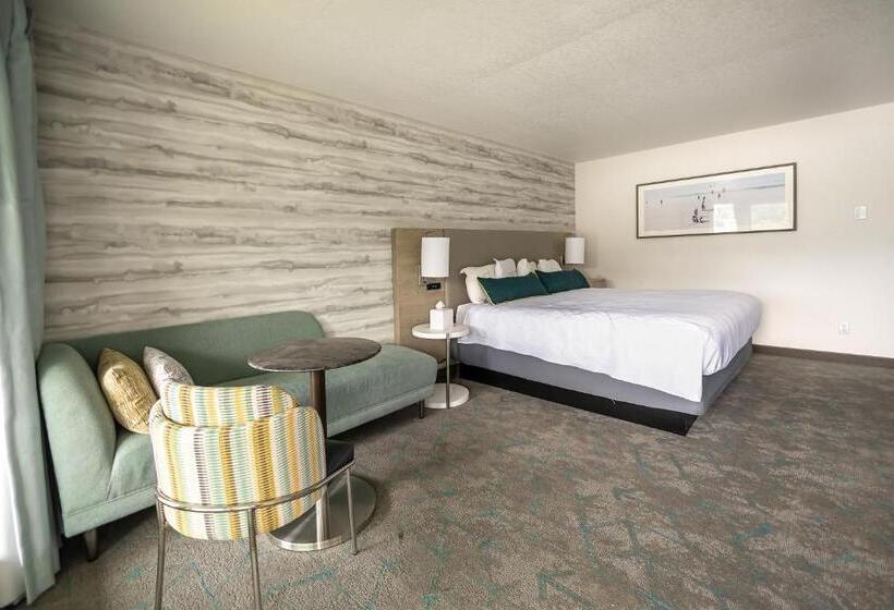 带大床的豪华间, Jot's Resort