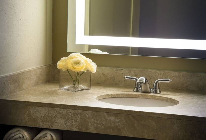 キングサイズベッドのスタンダードルーム, Lakeway Resort & Spa