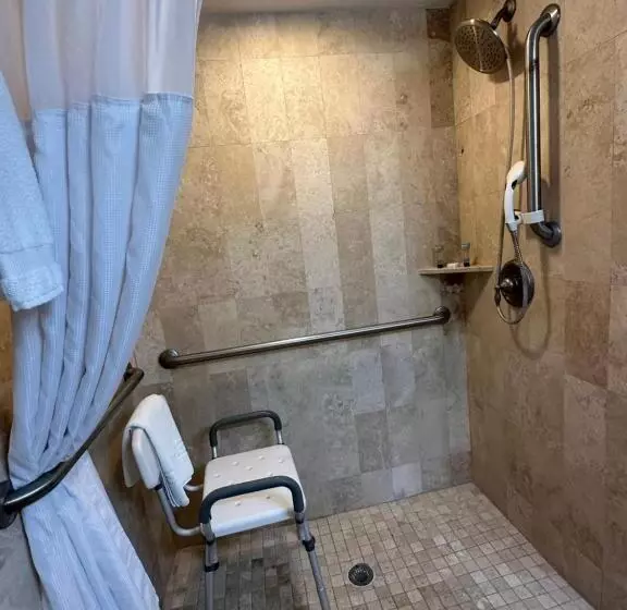 身障者適用キングサイズベッドルーム, Mission Resort And Club
