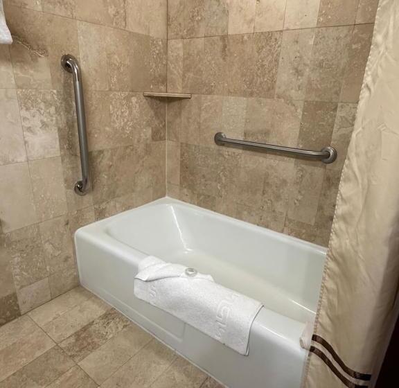 身障者適用スタンダードルーム, Mission Resort And Club