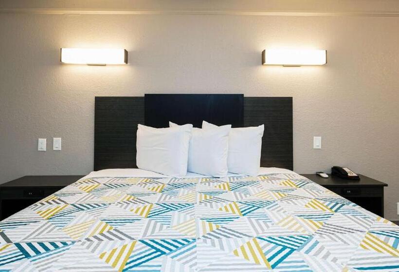 스탠다드 룸 킹사이즈 침대, Motel 6 baytown, Tx  Garth Rd