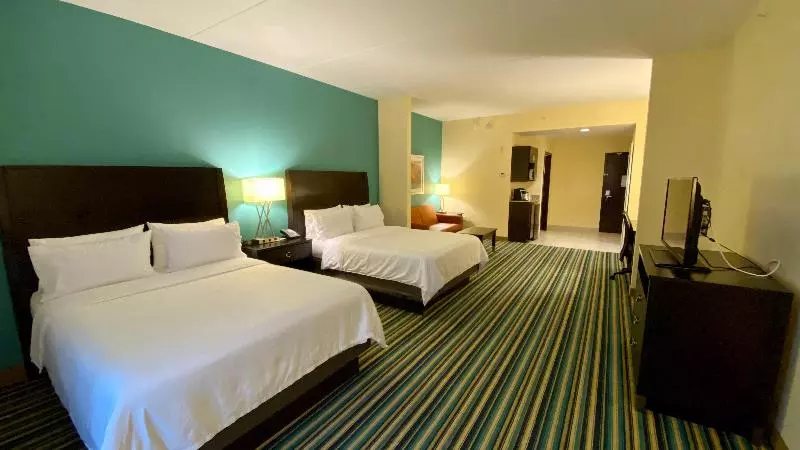 デラックススタジオ, Pink Shell Beach Resort And Marina