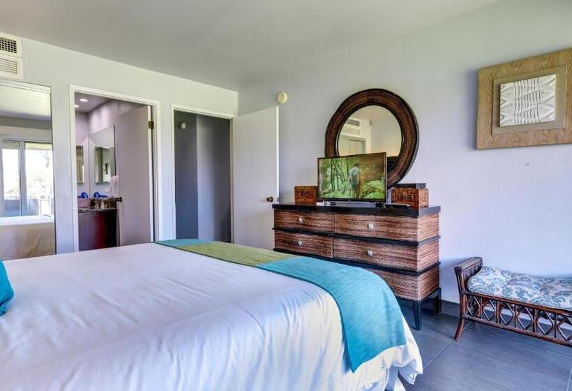 شقة غرفة واحدة, Maui Eldorado   J207