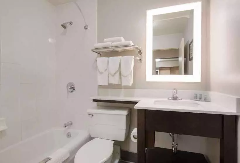 Standard-huone 2 Parivuodetta, Best Western Northwest Indiana Inn