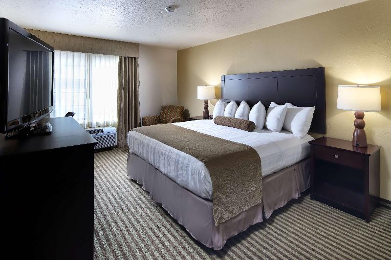اتاق استاندارد با تخت بزرگ, Wyndham Tucson Airport Hotel & Conference Center