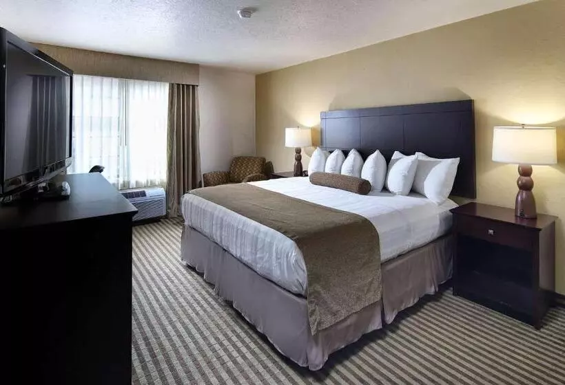 اتاق استاندارد با تخت بزرگ, Wyndham Tucson Airport Hotel & Conference Center