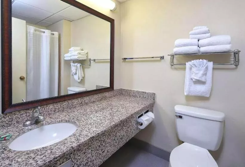 اتاق استاندارد با تخت بزرگ, Wyndham Tucson Airport Hotel & Conference Center