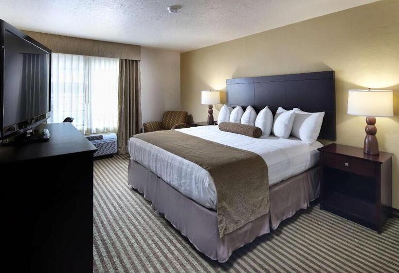 Стандартный Номер Кровать Кинг, Wyndham Tucson Airport Hotel & Conference Center
