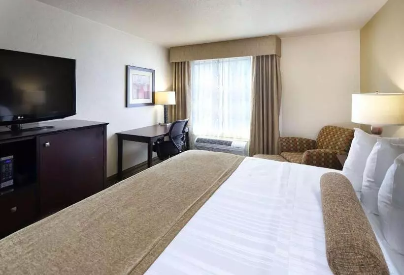 اتاق استاندارد با تخت بزرگ, Wyndham Tucson Airport Hotel & Conference Center