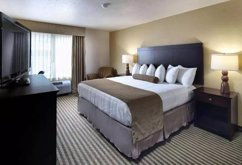 اتاق استاندارد با تخت بزرگ, Wyndham Tucson Airport Hotel & Conference Center