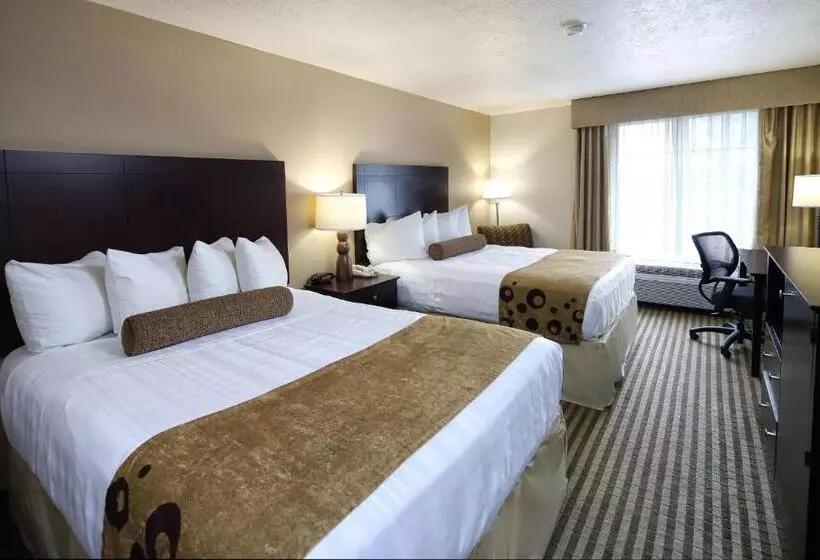 اتاق استاندارد, Wyndham Tucson Airport Hotel & Conference Center