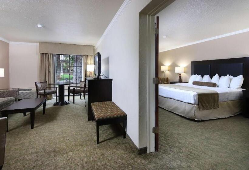 سوئیت با تخت بزرگ, Wyndham Tucson Airport Hotel & Conference Center