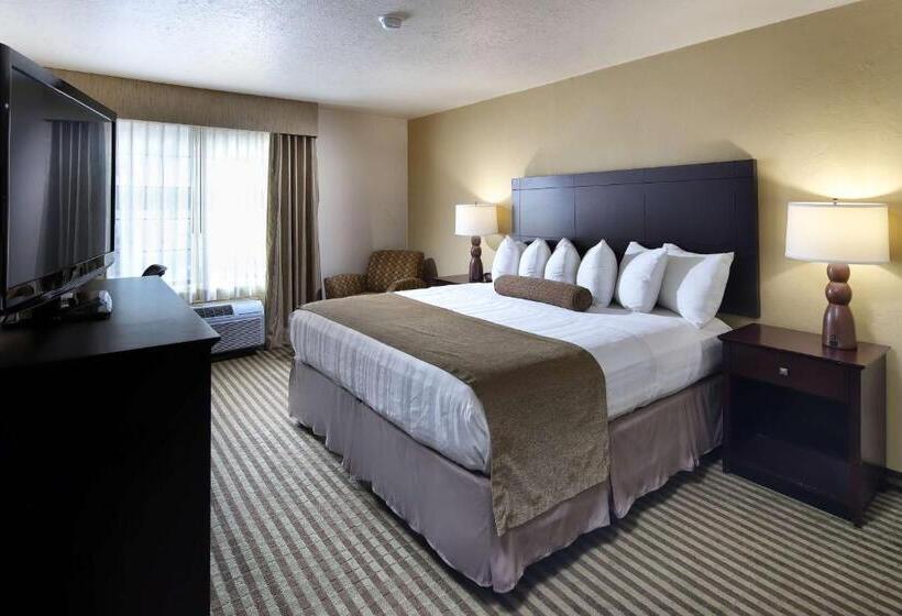 سوئیت با تخت بزرگ, Wyndham Tucson Airport Hotel & Conference Center