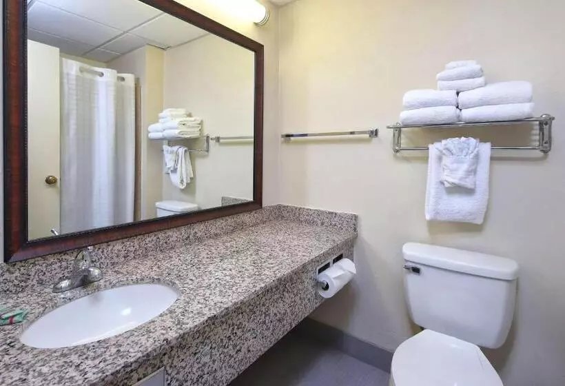 سوئیت با تخت بزرگ, Wyndham Tucson Airport Hotel & Conference Center