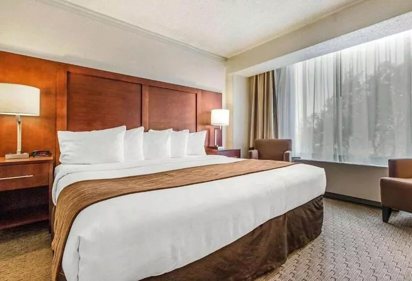 キングサイズベッドのスタンダードルーム, Comfort Inn By The Bay