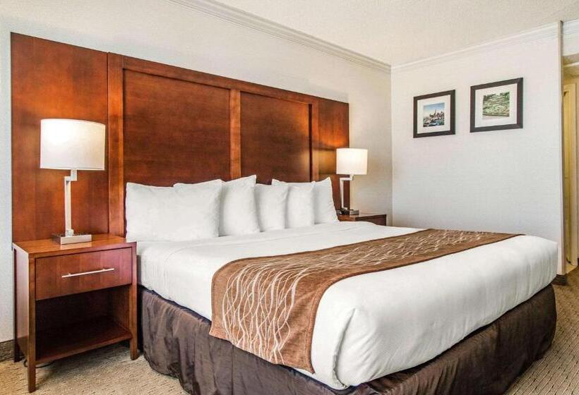 Habitació Estàndard Llit King, Comfort Inn By The Bay