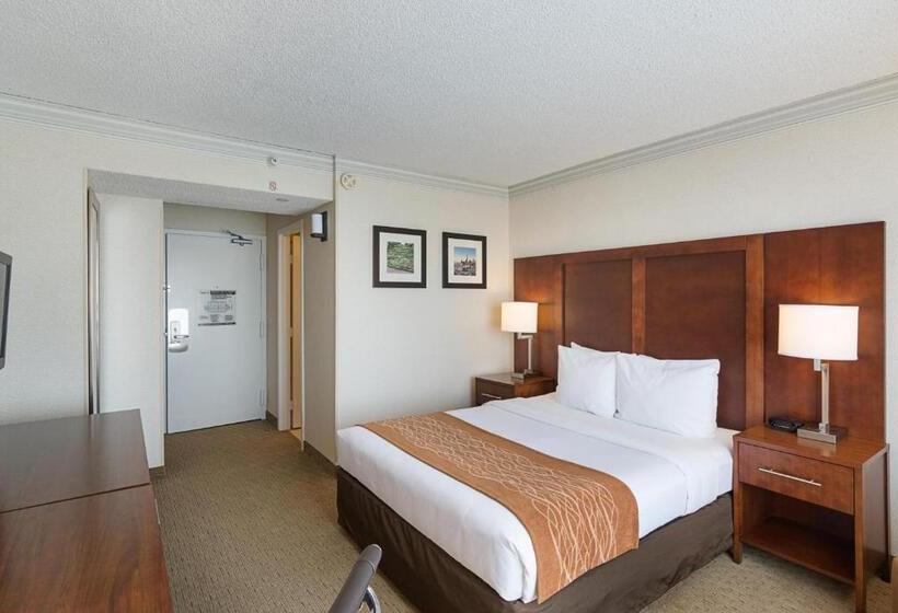 חדר סטנדרט, Comfort Inn By The Bay