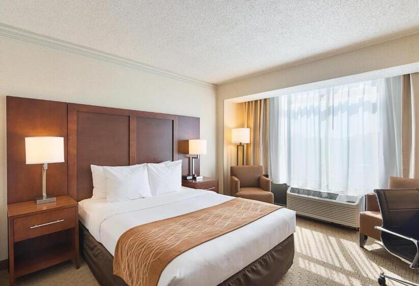 חדר סטנדרט, Comfort Inn By The Bay