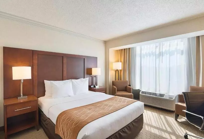 スタンダードルーム, Comfort Inn By The Bay