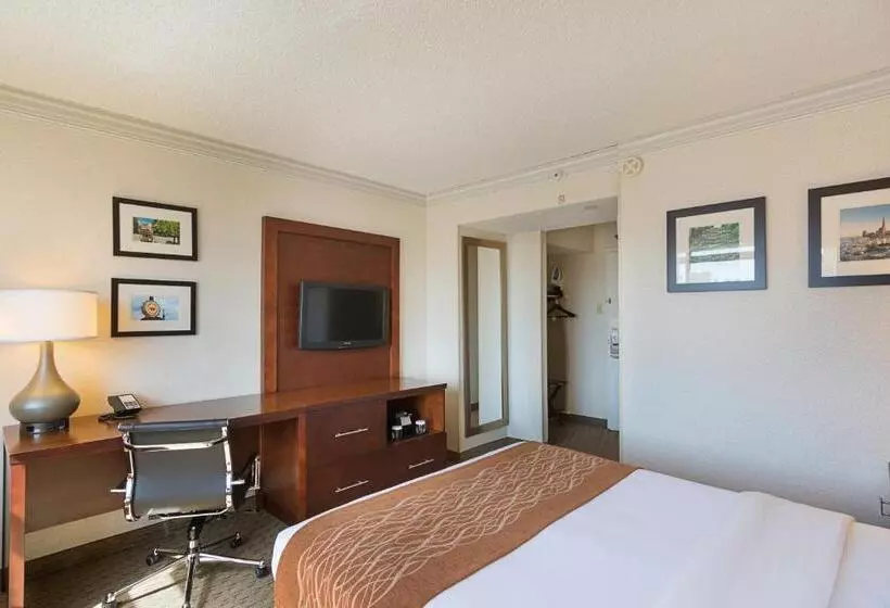 スタンダードルーム, Comfort Inn By The Bay