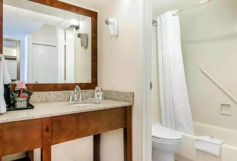 シングルデラックスルーム, Comfort Inn By The Bay