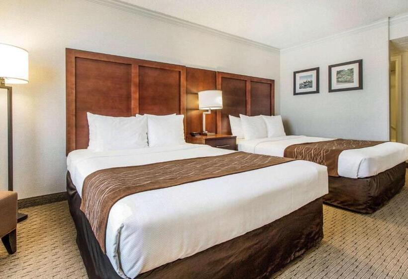 חדר סטנדרט עם נוף, Comfort Inn By The Bay