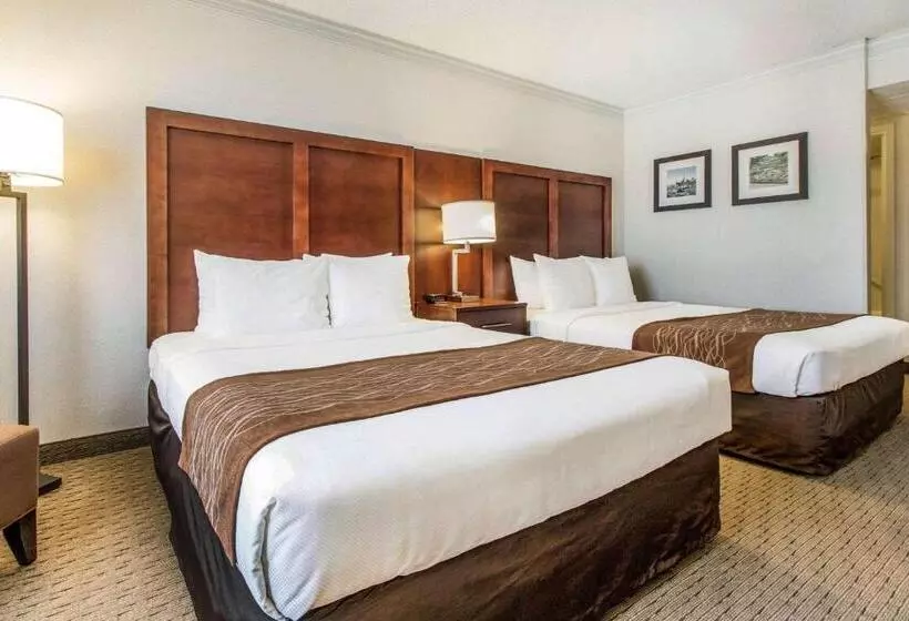 シングルデラックスルーム, Comfort Inn By The Bay
