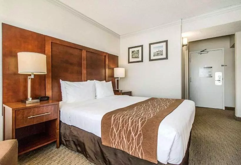 身障者適用スタンダードルーム, Comfort Inn By The Bay